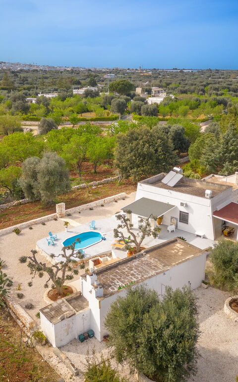 Villa Narkive: Eksteriør, Hage