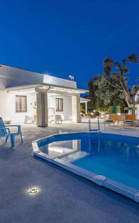 Villa Narkive: basseng