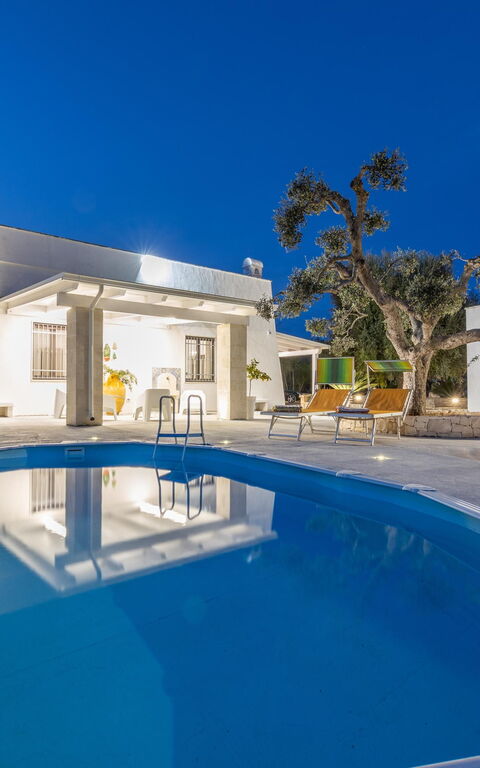 Villa Narkive: basseng