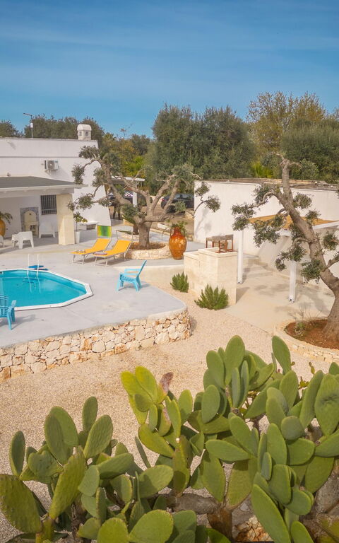 Villa Narkive: Hage, Hovedinngang, Utendørs