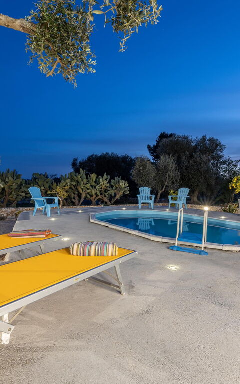 Villa Narkive: basseng, Visningar