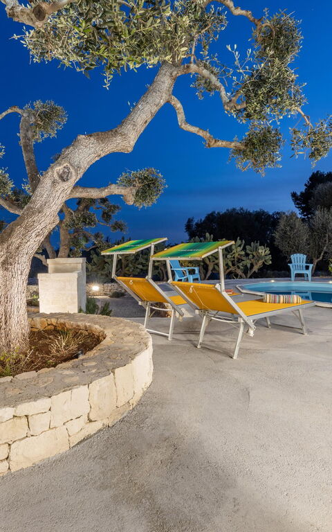 Villa Narkive: basseng, Visningar