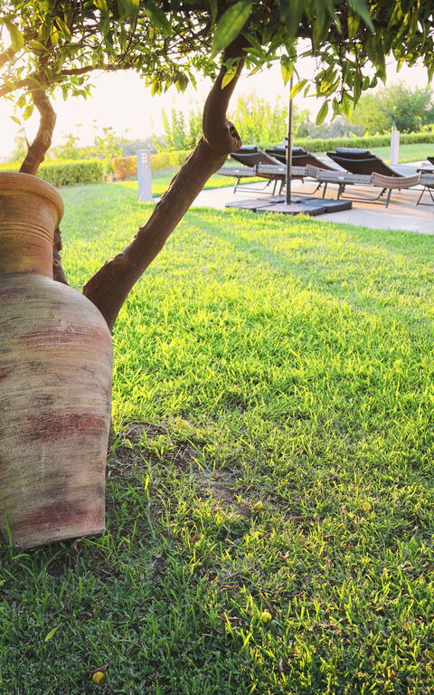 Villa Malu: Eksteriør, Hage, Utendørs