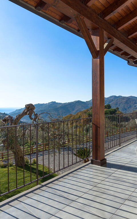 Zagara Bianca: Eksteriør, Hage, Utendørs, Visningar