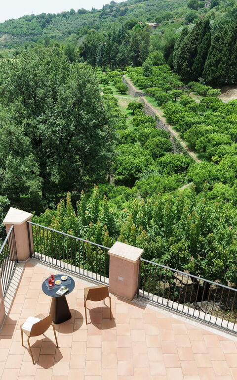 Tenuta Della Contea: Eksteriør, Hage, Utendørs