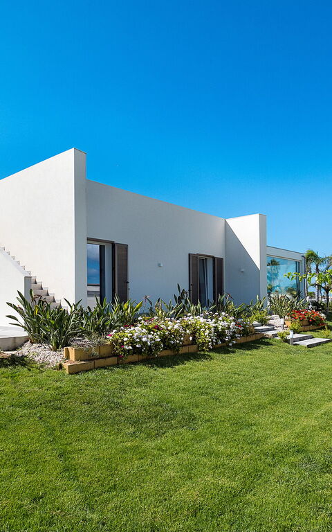 Diantha: Eksteriør, Hage, Utendørs