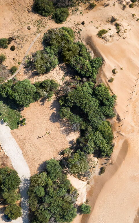 Casa Dafne: Visningar