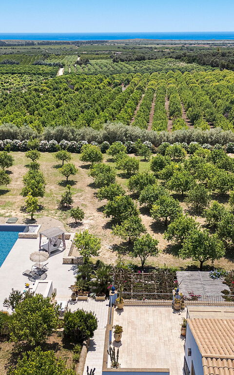 Pigna Blue: basseng, Visningar