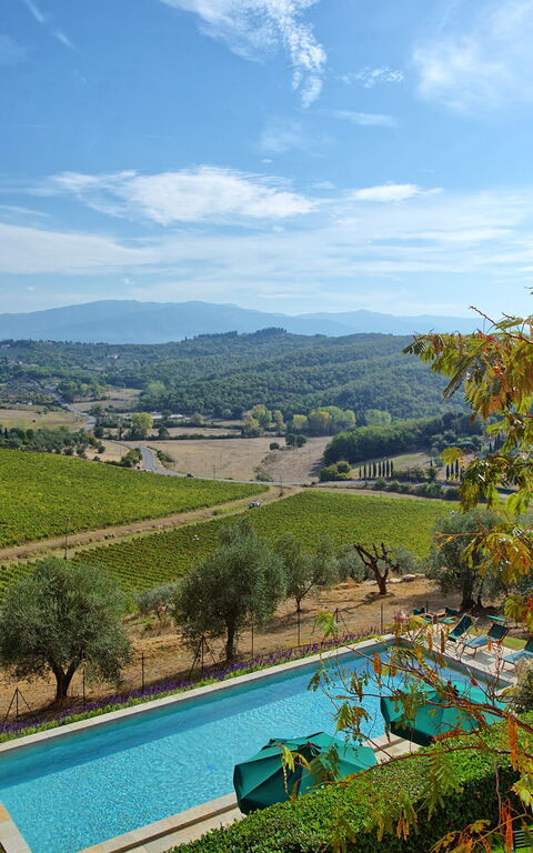 Villa Cona: basseng, Eksteriør, Hage, Utendørs