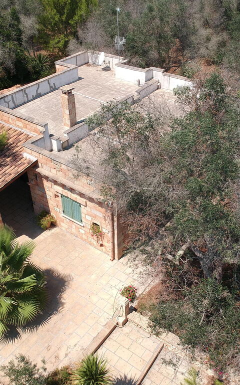 Villa Astrea: Hage, Utendørs