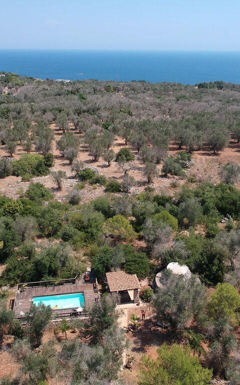 Villa Astrea: Utendørs