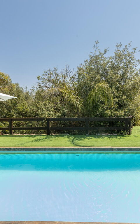 Villa Astrea: basseng, Hage