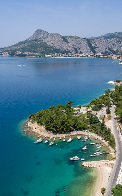 Villa Loma: Visningar