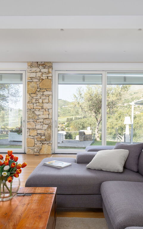 Villa Demetra: Stue