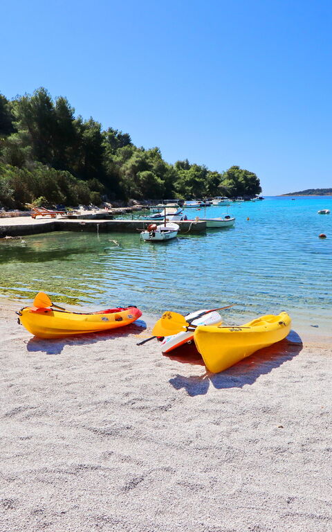 Villa Emerald: Aktiviteter, Visningar