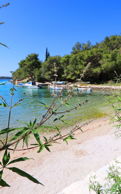 Villa Emerald: Aktiviteter, Visningar