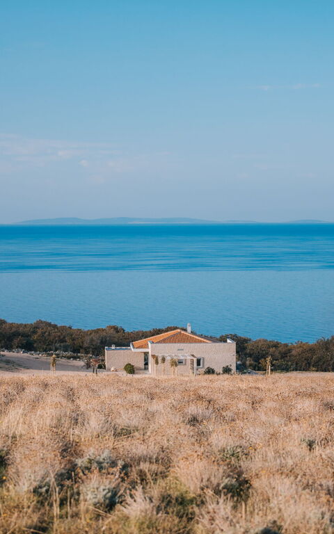 Villa Steropa: Visningar