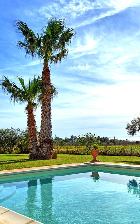 Villa Casale: basseng, Eksteriør, Hage, Utendørs