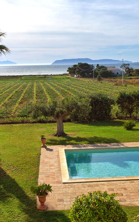 Villa Casale: basseng, Eksteriør, Hage, Utendørs