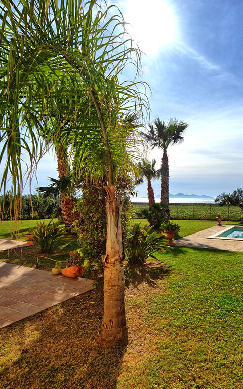 Villa Casale: basseng, Eksteriør, Hage, Utendørs