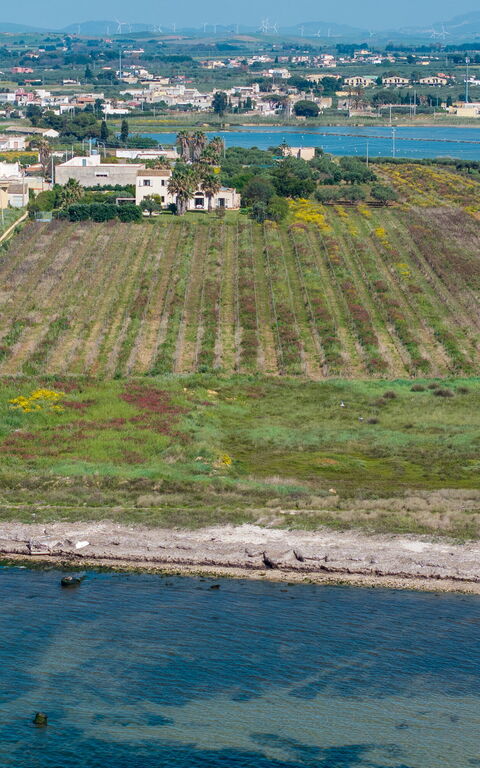 Villa Casale: Visningar