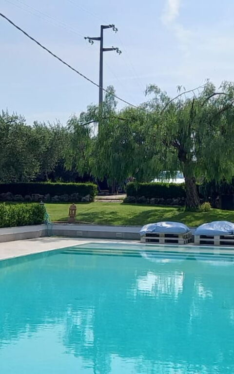 Villa Antici: basseng, Eksteriør, Hage, Utendørs