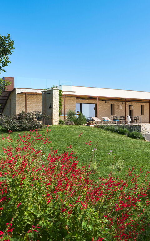 Gelso Bianco: Eksteriør, Hage, Utendørs