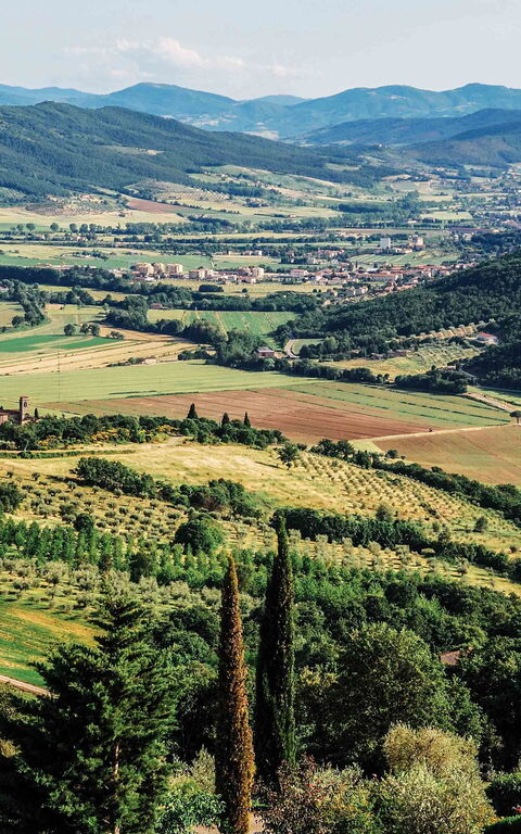 Villa Paradiso: Visningar