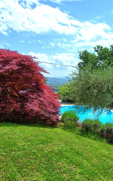 Villa Paradiso: Hage