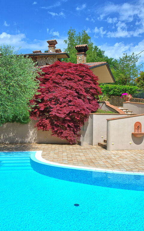 Villa Paradiso: basseng, Eksteriør