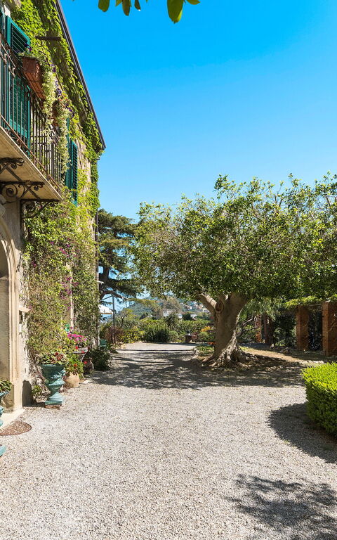 Villa Giuffrè: Eksteriør, Utendørs