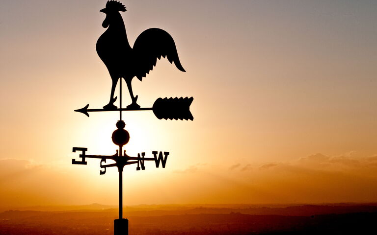 Villa Colle Di Sotto: Eksteriør, Utendørs