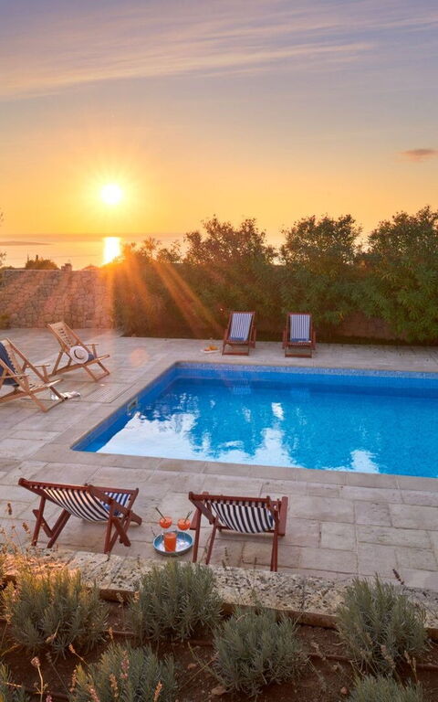 Orvas Villa 189: basseng, Hage