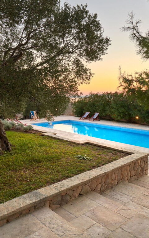 Orvas Villa 189: basseng, Hage