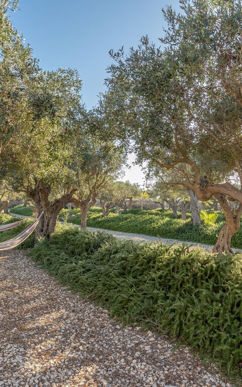 Villa Partenope: Eksteriør, Hage, Utendørs