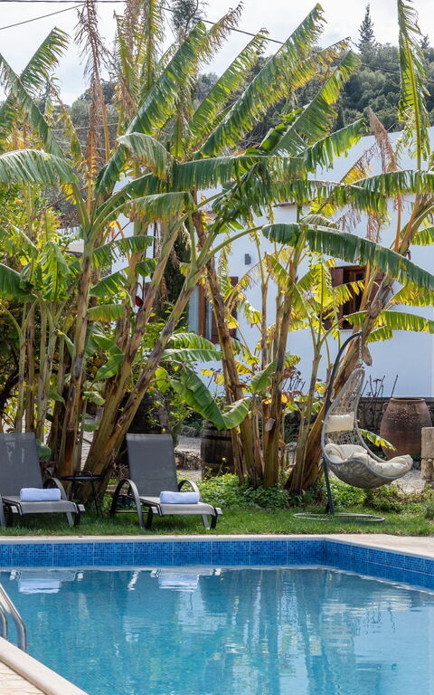 Klapas: basseng, Eksteriør, Hage