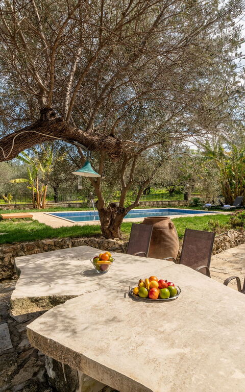 Klapas: Balkong / terrasse / uteplass, basseng, Eksteriør, Hage