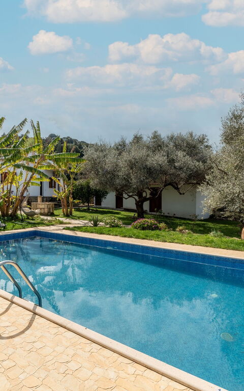 Klapas: basseng, Eksteriør, Hage