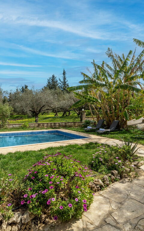 Klapas: basseng, Eksteriør, Hage