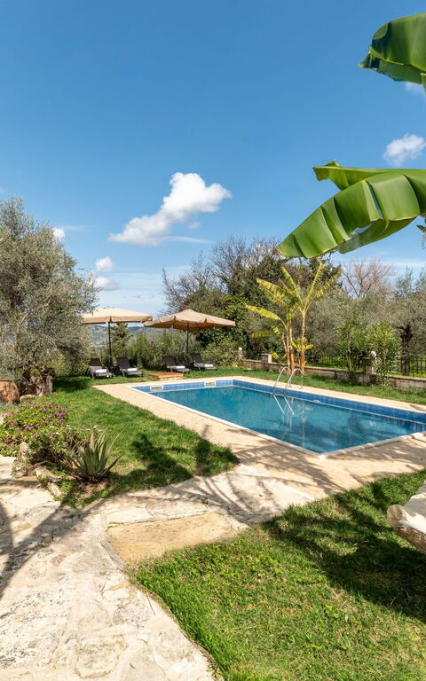 Klapas: basseng, Eksteriør, Hage