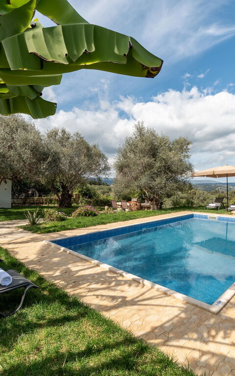 Klapas: basseng, Eksteriør, Hage