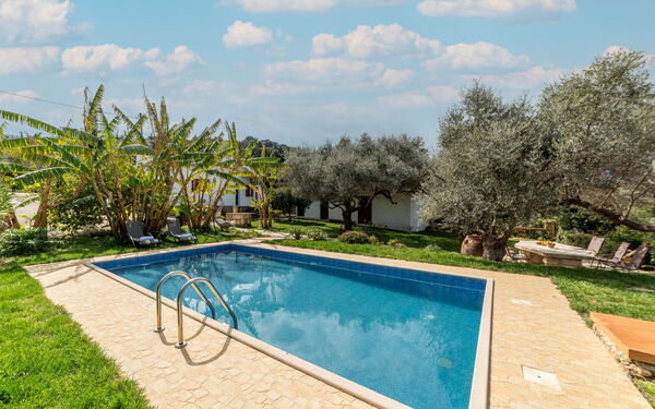 Klapas: basseng, Eksteriør, Hage