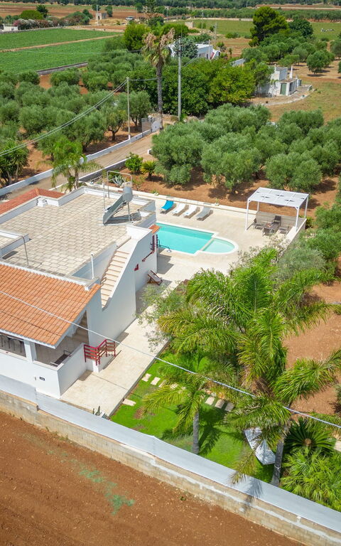 Villa Dolcevivere: basseng, Eksteriør, Sommer, Utendørs, Visningar