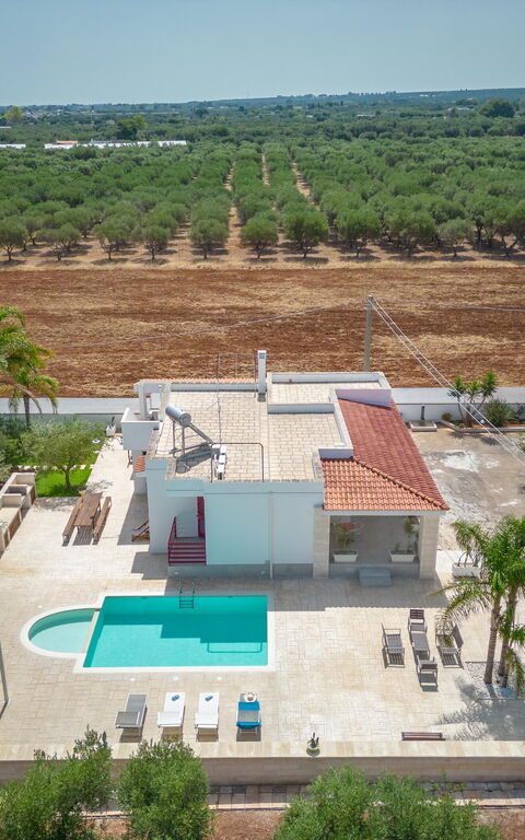 Villa Dolcevivere: basseng, Eksteriør, Sommer, Utendørs, Visningar