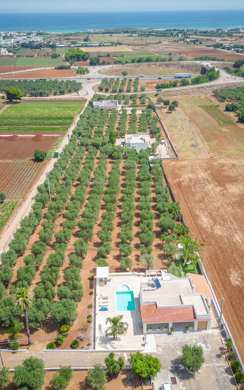 Villa Dolcevivere: Eksteriør, Sommer, Utendørs, Visningar