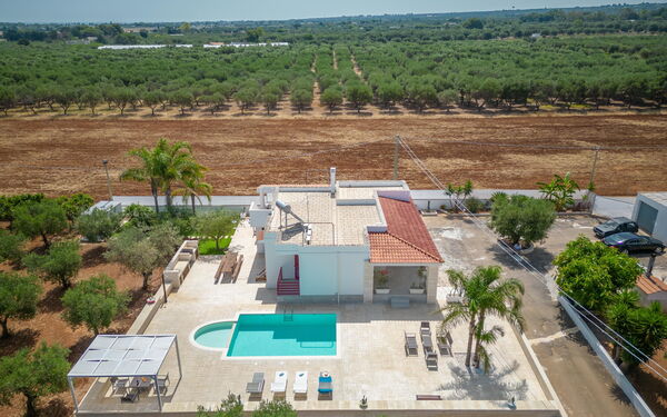 Villa Dolcevivere: basseng, Eksteriør, Sommer, Utendørs, Visningar