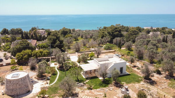 Villa Platino: Eksteriør, Hage, Utendørs, Visningar