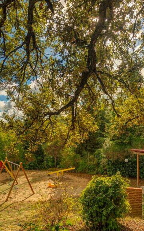 Leccino: Eksteriør, Hage, Utendørs, Visningar