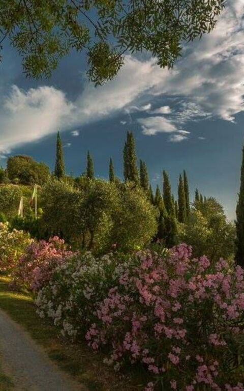 Leccino: Eksteriør, Hage, Utendørs, Visningar