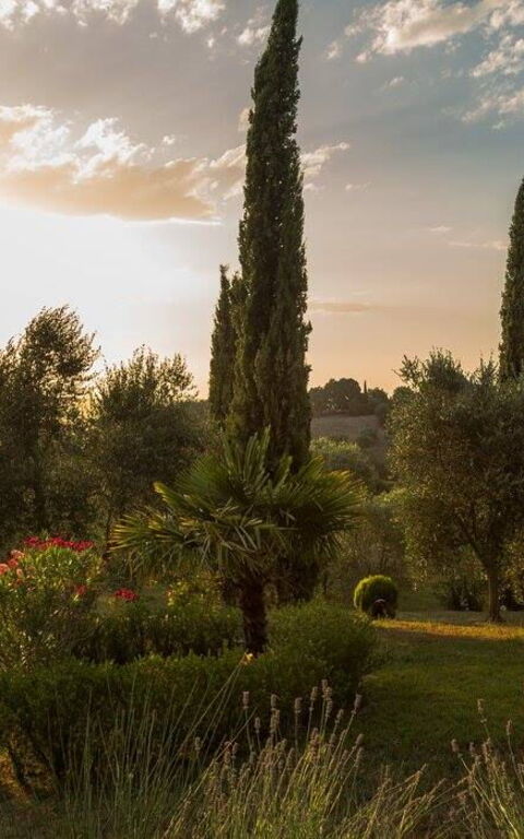 Leccino: Eksteriør, Utendørs, Visningar